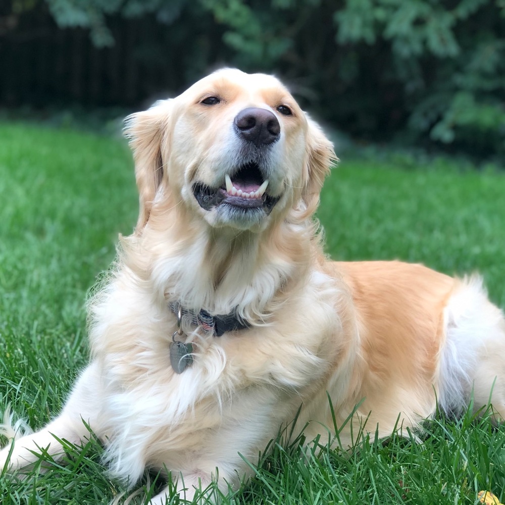 Meet your Posher, SquanHokie
